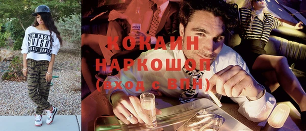 индика Аркадак