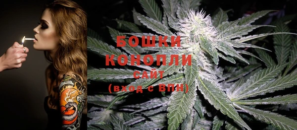 индика Аркадак