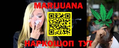 индика Можайск