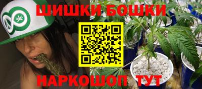индика Можайск