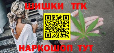 индика Можайск