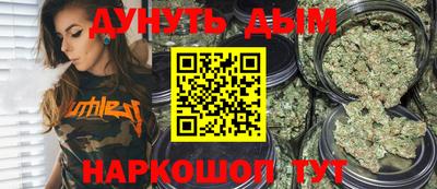 индика Можайск