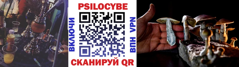 Галлюциногенные грибы прущие грибы  Губкинский 