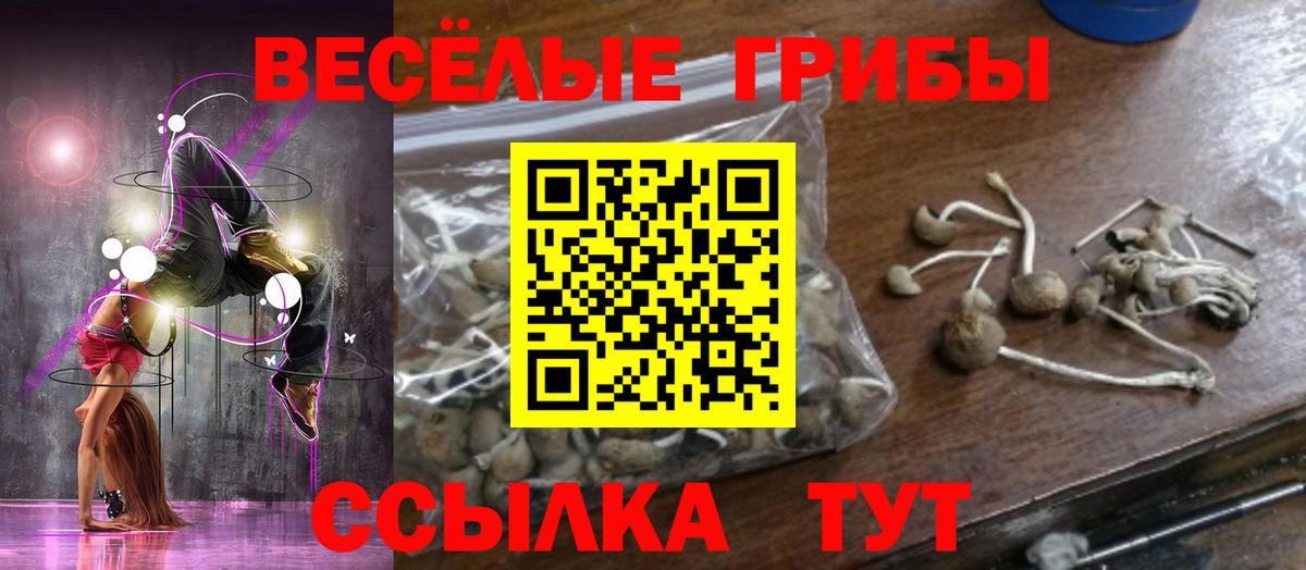 Губкинский  Псилоцибиновые грибы GOLDEN TEACHER  цена наркотик  Вход с VPN 