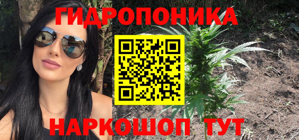 Канабис тримм  Конопля семена  МАРИХУАНА MAZAR  Губкинский  Вход с VPN 
